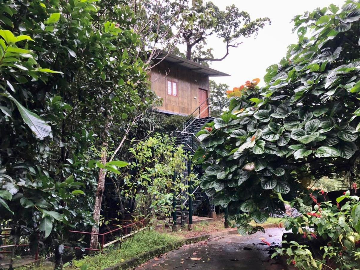 Nutmeg Valley Idukki Εξωτερικό φωτογραφία