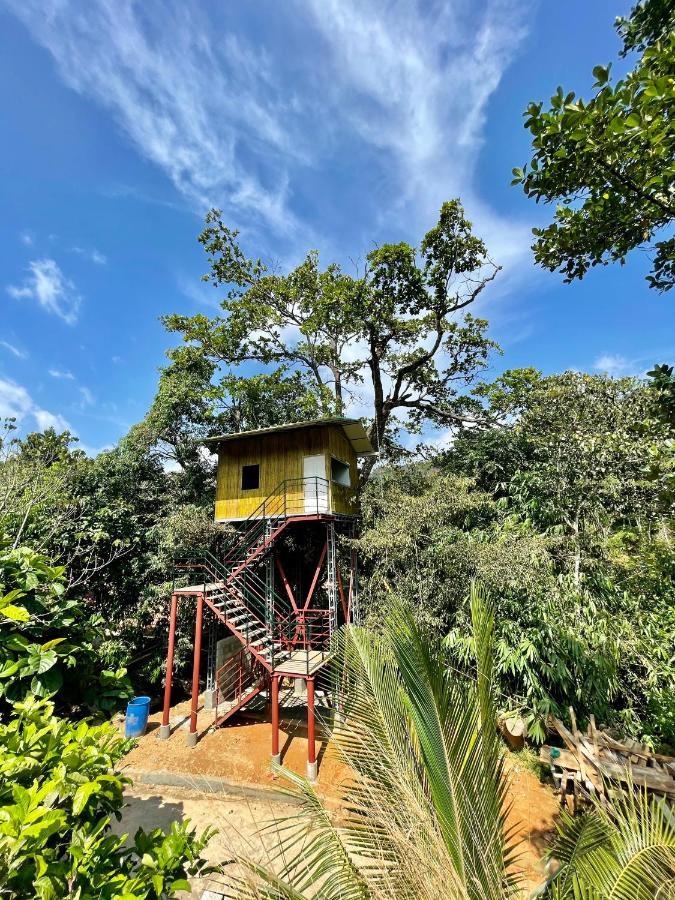 Nutmeg Valley Idukki Εξωτερικό φωτογραφία