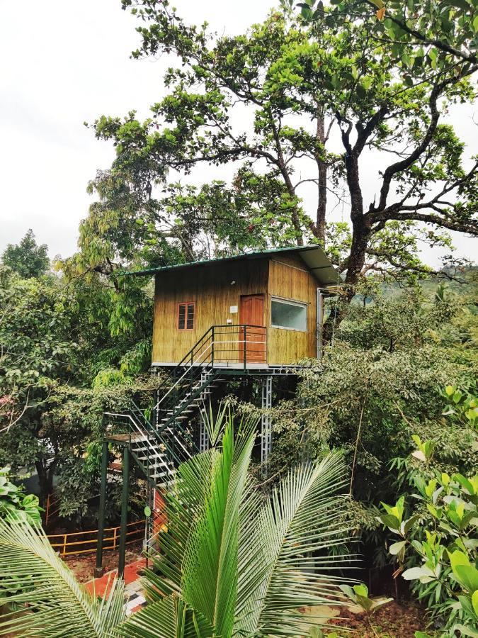 Nutmeg Valley Idukki Εξωτερικό φωτογραφία
