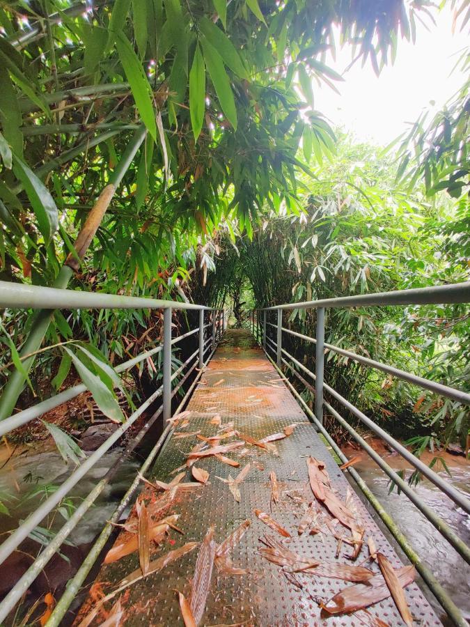 Nutmeg Valley Idukki Εξωτερικό φωτογραφία