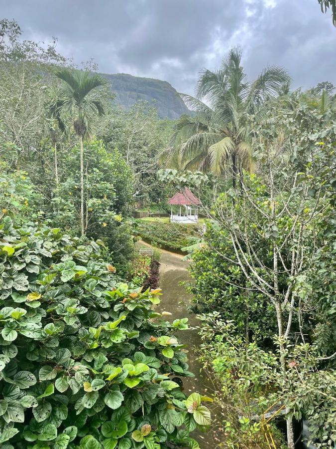 Nutmeg Valley Idukki Εξωτερικό φωτογραφία
