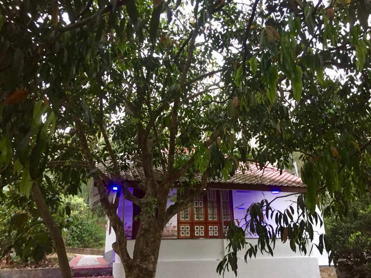 Nutmeg Valley Idukki Εξωτερικό φωτογραφία