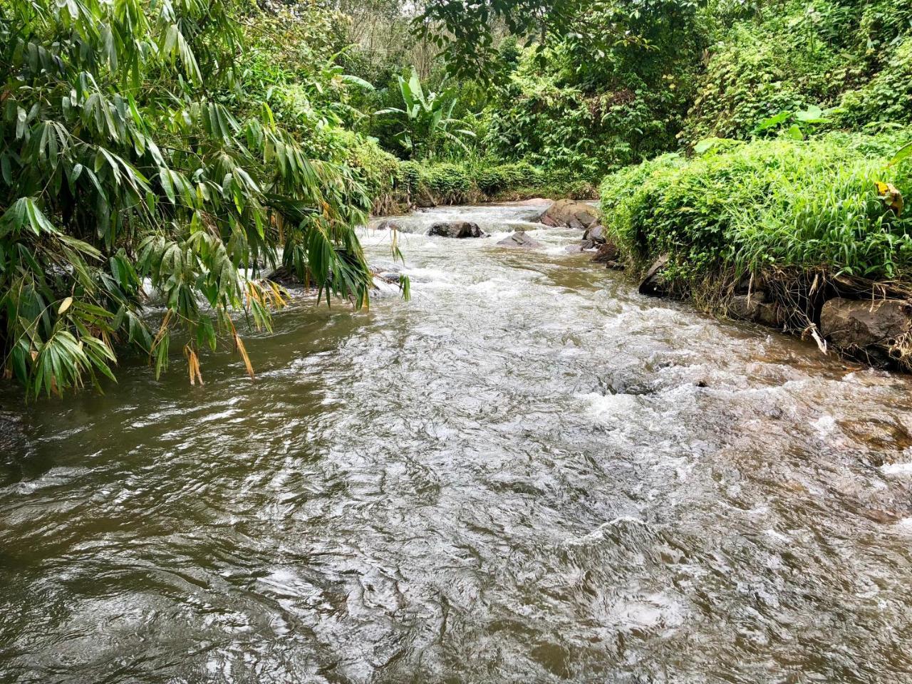 Nutmeg Valley Idukki Εξωτερικό φωτογραφία